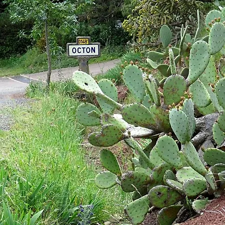 Alojamento de Acomodação e Pequeno-almoço Hotes'octon